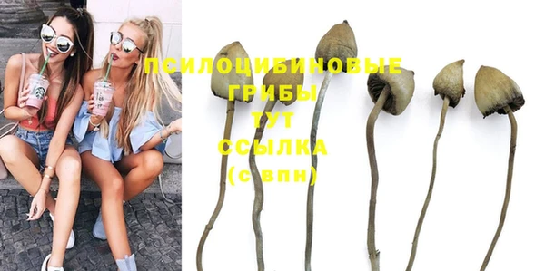 прущие грибы Алексеевка