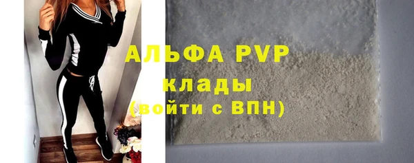 стаф Абинск
