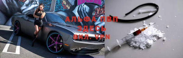 стаф Абинск