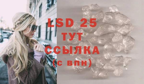 индика Алексин
