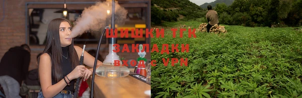 стаф Абинск