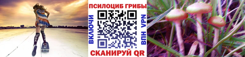Псилоцибиновые грибы ЛСД  закладки  Батайск 